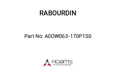 A0DW063-170P1S0