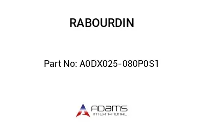 A0DX025-080P0S1