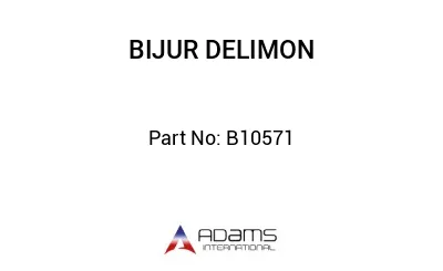 B10571 B10571