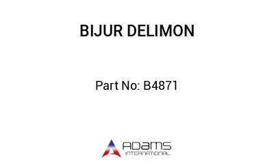 B4871 B4871