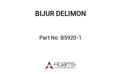 B5920-1 B5920-1