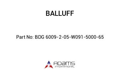 BDG 6009-2-05-W091-5000-65									