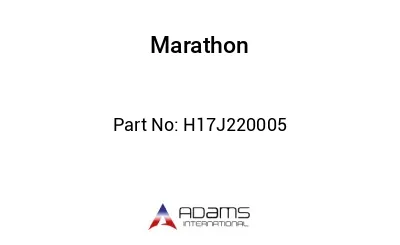 H17J220005 H17J220005