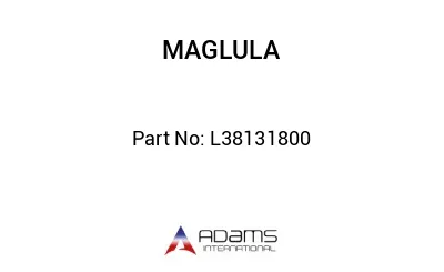 L38131800 L38131800
